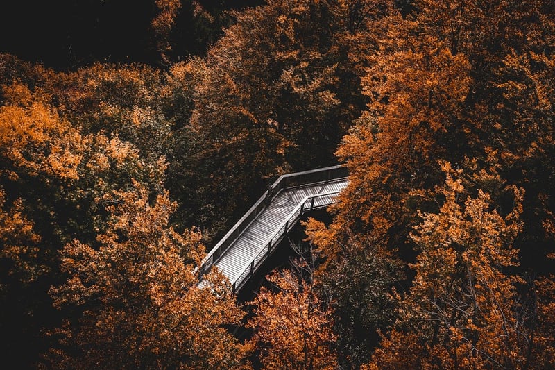 Hiking for Mindfulness