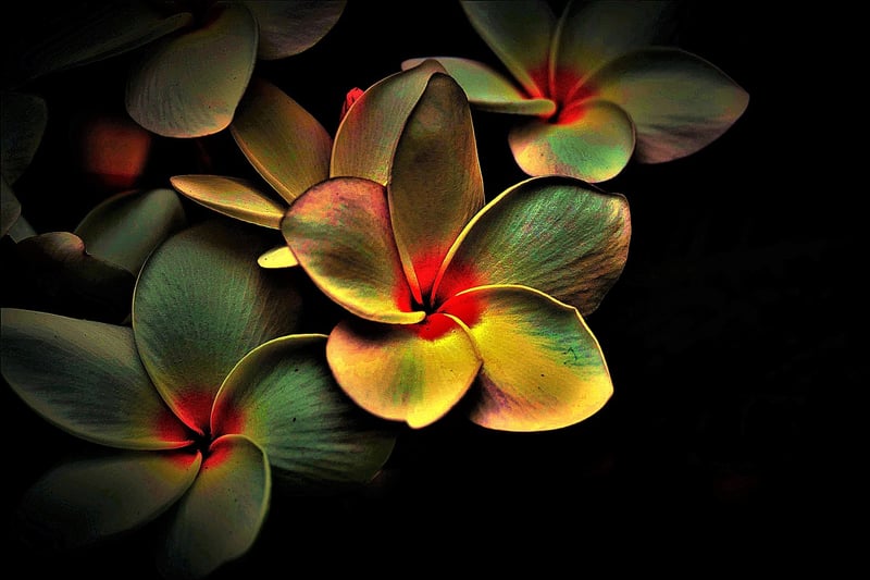 Mindfulness Art